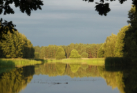 Teichlandschaft in der Nähe